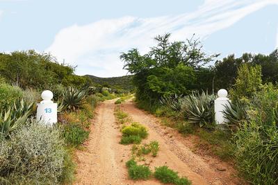 Farm For Sale in Oudtshoorn Rural, Oudtshoorn